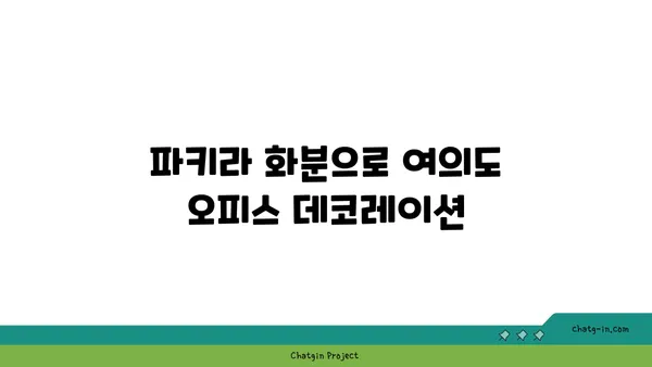 파키라 화분으로 여의도 오피스 데코레이션