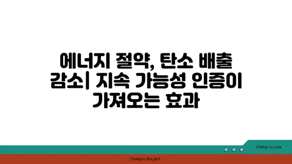 여의도 오피스 건물 지속 가능성 인증: 친환경적이고 윤리적인 선택