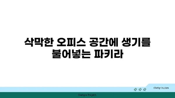 파키라 화분으로 여의도 오피스 데코레이션