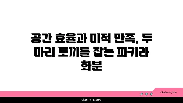 파키라 화분으로 여의도 오피스 데코레이션