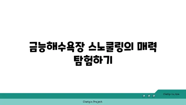 제주의 금능해수욕장 스노쿨링과 조개잡이