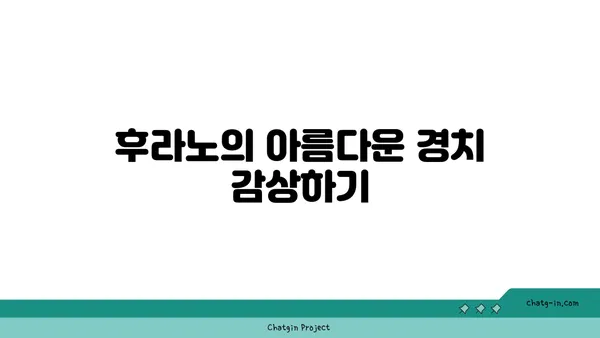 삿포로 렌트카 여행: 후라노 비에이로의 국도 드라이브