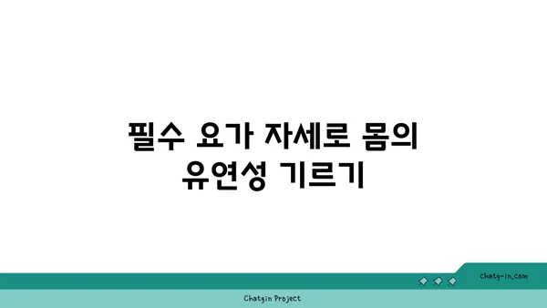 요가 초보자를 위한 필수 자세 가이드