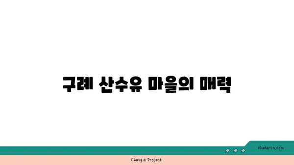 구례 산수유 축제에서 산수유마을 탐방