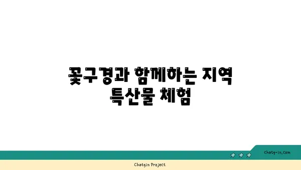 구례 산수유 축제: 꽃구경과 산책의 즐거움