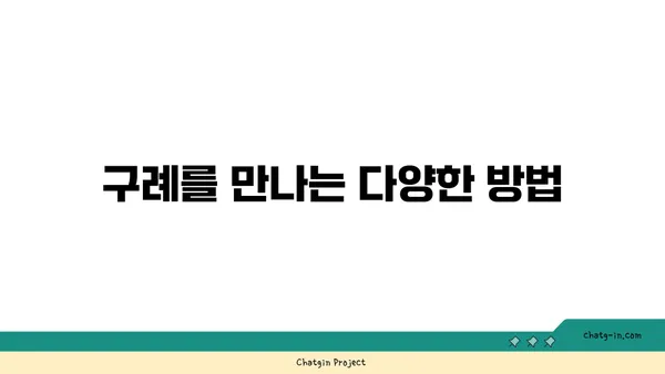 구례 산수유 축제에서 산수유마을 탐방