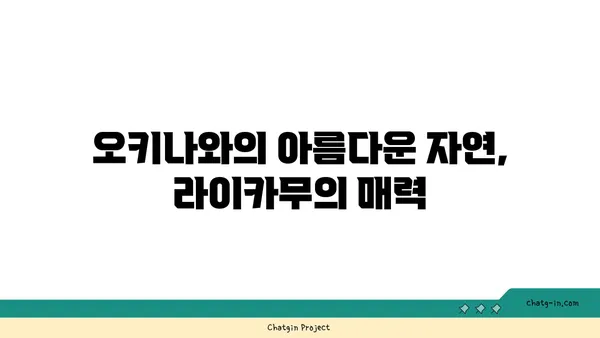 오키나와 라이카무와 만좌모 탐험