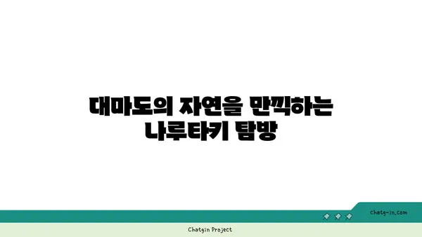 그림 같은 대마도 자전거 여행: 나루타키 자연공원, 헤키레키 신사, 나기사노유 온천