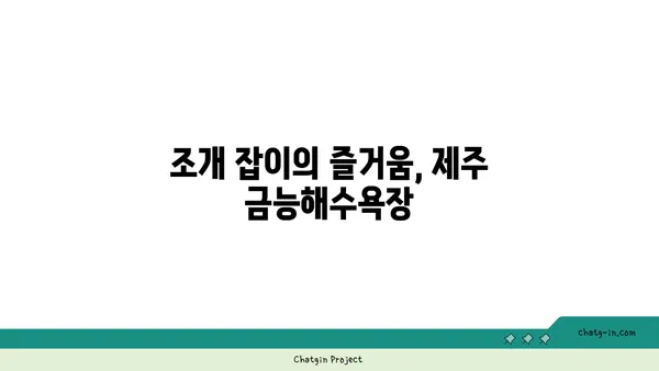 제주 금능해수욕장: 스노클링과 조개 잡이