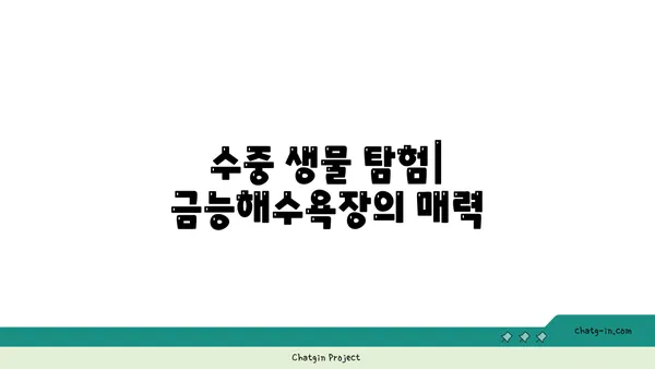 제주의 수중 세계 탐사: 금능해수욕장 스노쿨링과 조개잡이