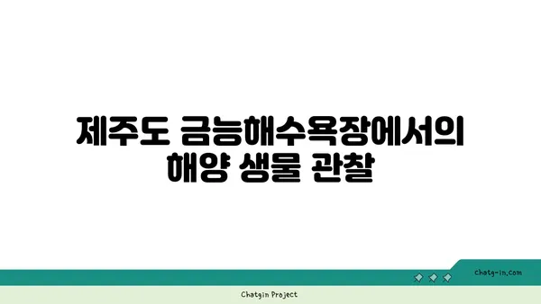 제주도의 금능해수욕장: 스노쿨링과 조개잡이 체험