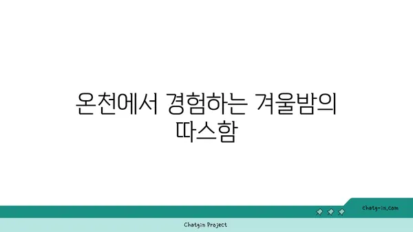 아이슬란드 블루 라군 온천에서의 환상적인 겨울밤