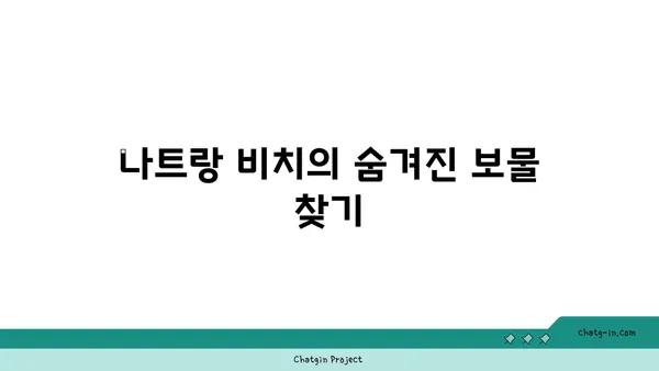 나트랑 미니 비치 호핑 투어: 짜릿한 비교