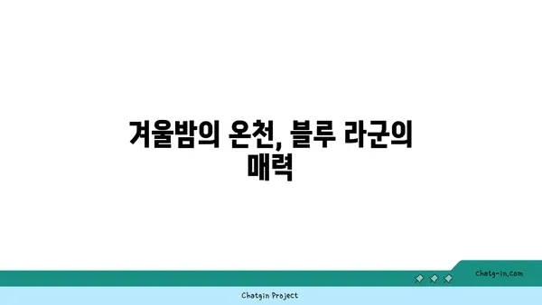 아이슬란드 블루 라군: 겨울 야간 온천 경험