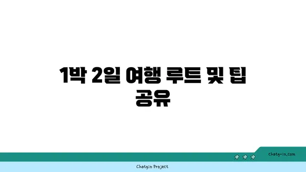 나루타키 자연 공원부터 나기사노유 온천까지: 대마도 1박 2일 자전거 여행