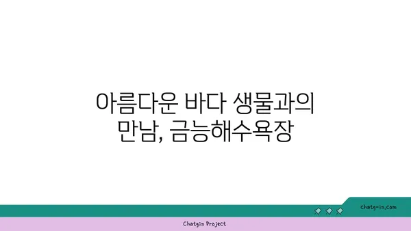 제주 금능해수욕장: 스노클링과 조개 잡이