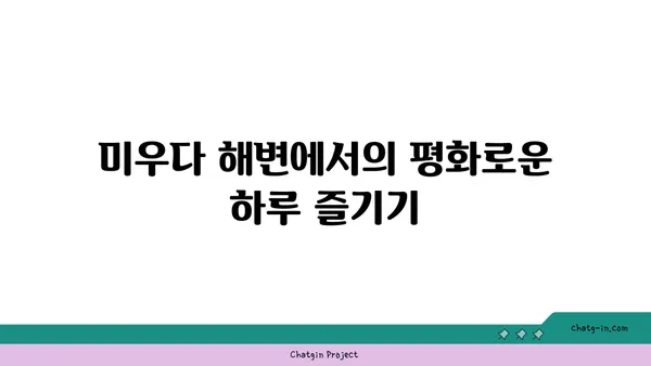 나홀로 대마도 여행: 미우다 해변, 토요코인 히타카츠, 나가시노유 온천