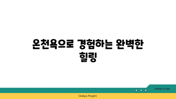 유후인 쿠오리테이 료칸 후기: 호화로운 온천수영장과 아늑한 분위기