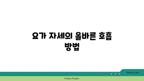 요가 초보자를 위한 필수 자세 가이드