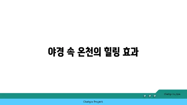아이슬란드 블루 라군: 겨울 야간 온천 경험