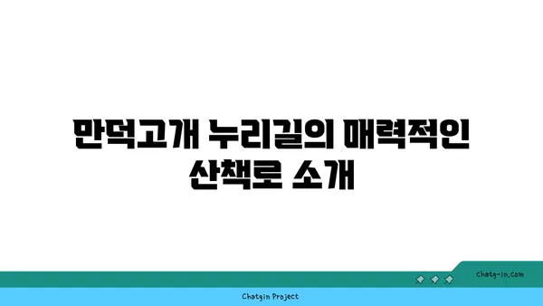 부산 야경의 숨은 보석: 만덕고개 누리길