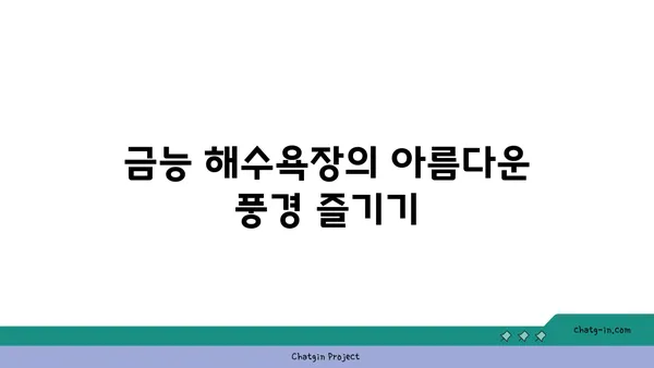 제주의 매력적인 금능 해수욕장: 스노쿨링과 조개잡이 체험
