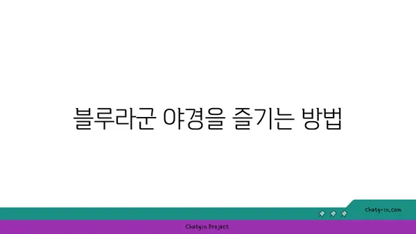 아이슬란드 블루라군 온천 예약과 겨울철 야간 체험 후기