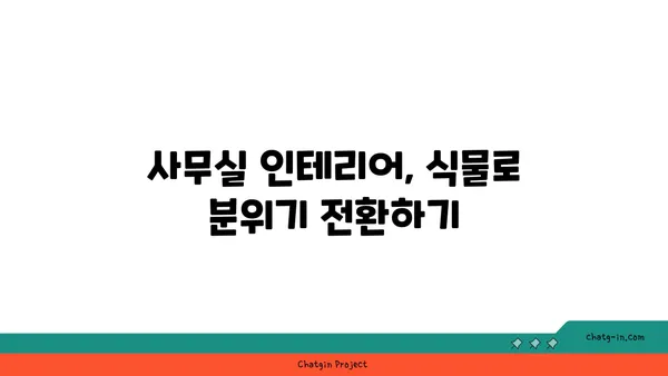 여의도 사무실 꾸미기: 파키라 화분과 승진 축하의 아름다움