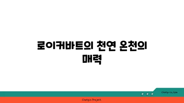 로이커바트 온천 마을에서의 스위스 여행 기