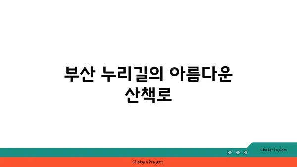 부산 누리길: 만덕고개의 밤 경치와 온천