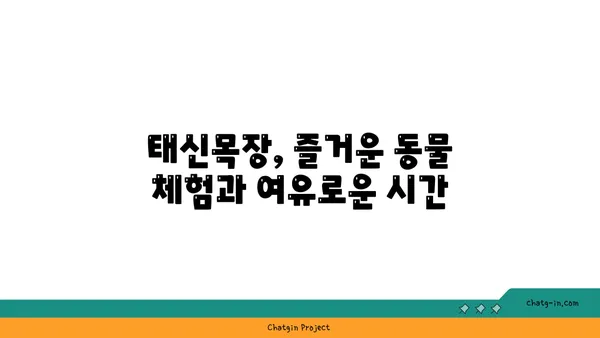 여행지 추천: 옥계리저수지, 매헌무궁화공원, 태신목장