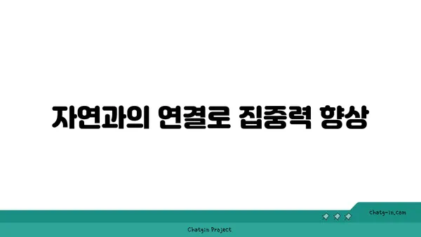 자연 속에서 진행하는 야외 요가의 장점
