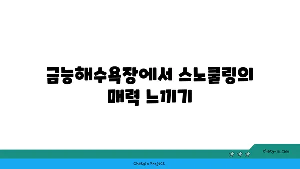 제주의 명소 금능해수욕장에서 스노쿨링과 조개잡이