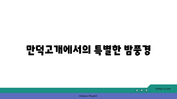 부산 누리길: 만덕고개의 밤 경치와 온천
