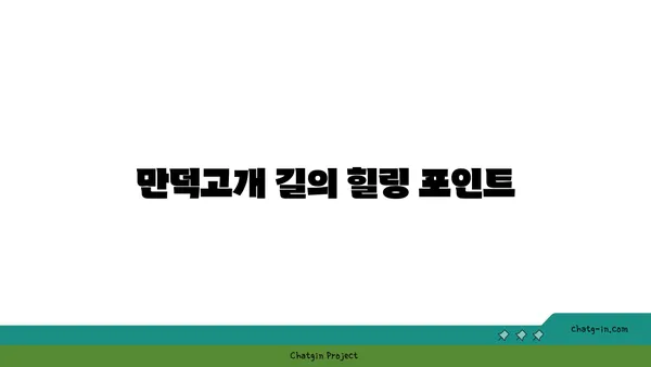 부산의 숨겨진 보석: 만덕고개 누리길의 야경
