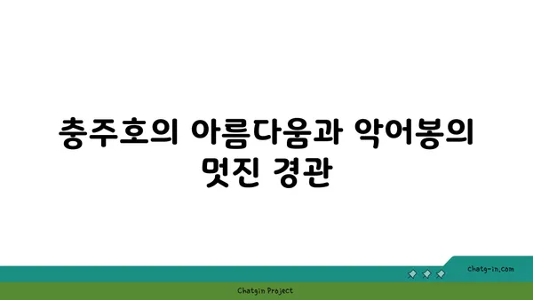 충주호를 내려다보는 악어봉 가족 라면 카페