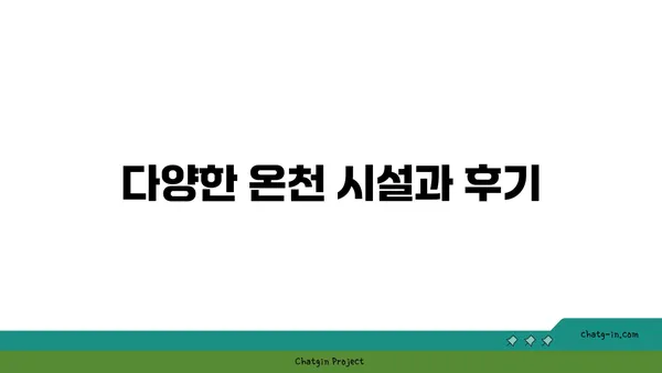 스위스 로이커바트 온천 마을에서 제 알프스 온천 체험기