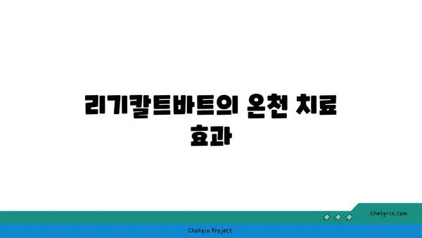 스위스 스파 온천 비교 추천: 리기칼트바트 미네랄바드앤스파