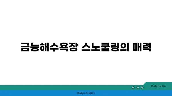 제주도의 금능해수욕장: 스노쿨링과 조개잡이 체험