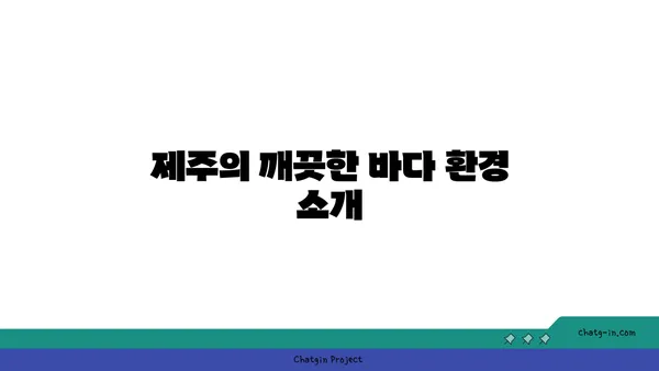 제주의 금능해수욕장 스노쿨링과 조개잡이