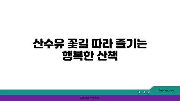 구례 산수유 축제: 꽃구경과 산책의 즐거움