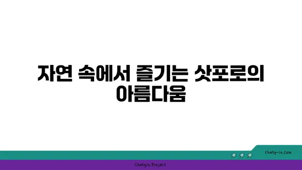 삿포로 3일차: 도시의 숨겨진 보석 발견