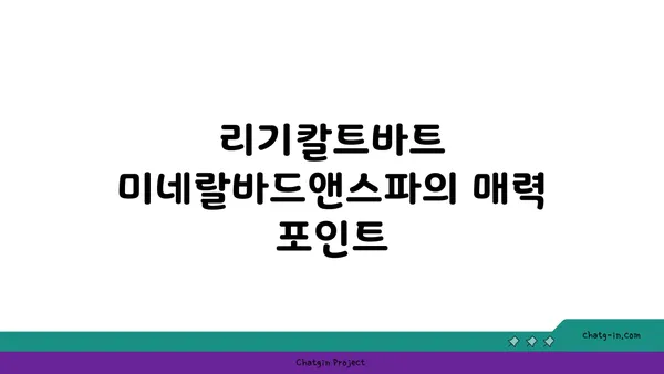 스위스 스파 온천 비교 추천: 리기칼트바트 미네랄바드앤스파