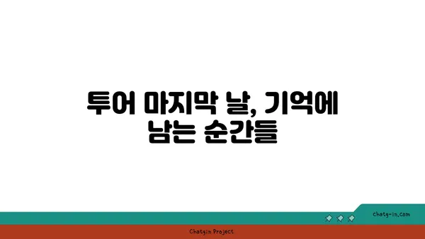 나트랑의 일일 비치 호핑 투어 후기: 미친 대결