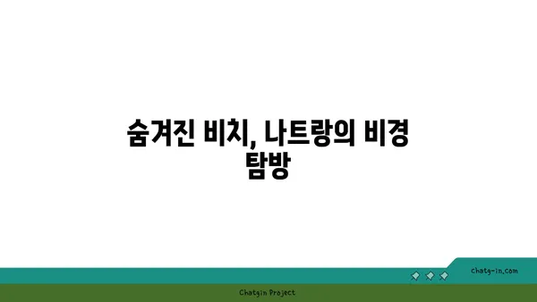 나트랑의 일일 비치 호핑 투어 후기: 미친 대결
