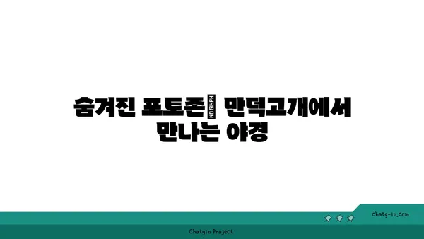 부산 야경의 숨은 보석: 만덕고개 누리길