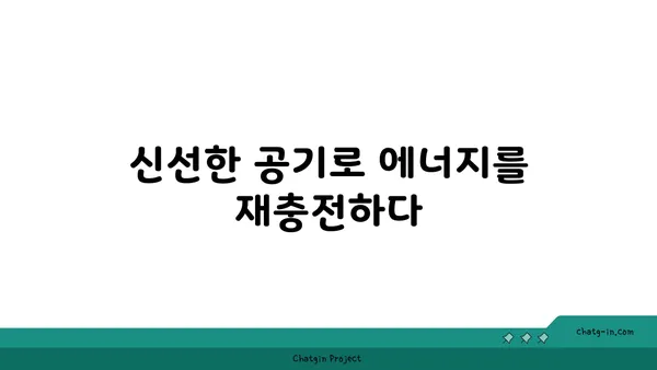 자연 속에서 진행하는 야외 요가의 장점