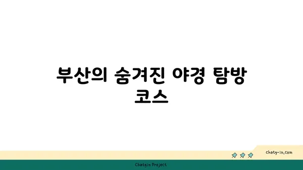 부산의 숨겨진 보석: 만덕고개 누리길의 야경