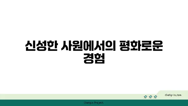 치앙마이로의 문화와 자연 여행