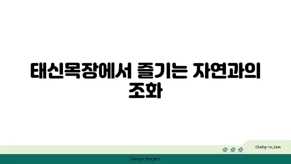 예산 여행지: 아그로랜드 태신목장의 온천수영장과 우유 농장 방문